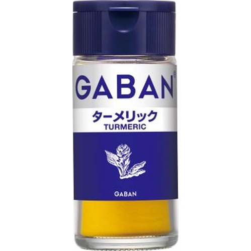 ギャバン ターメリック 18g【08/01 新商品】