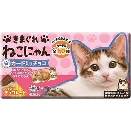 正栄 きまぐれねこにゃん 1枚 | 商品紹介 | お菓子・駄菓子の仕入れや