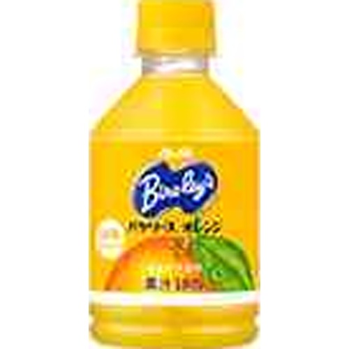 バヤリース オレンジ P280ml【04/08 新商品】