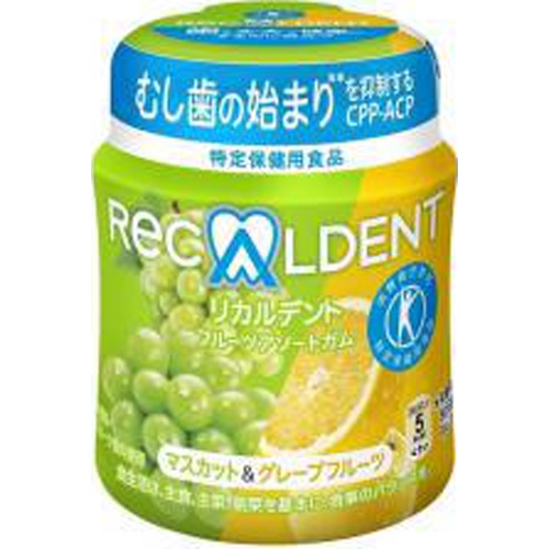 リカルデント マスカット&GF140g【04/10 新商品】