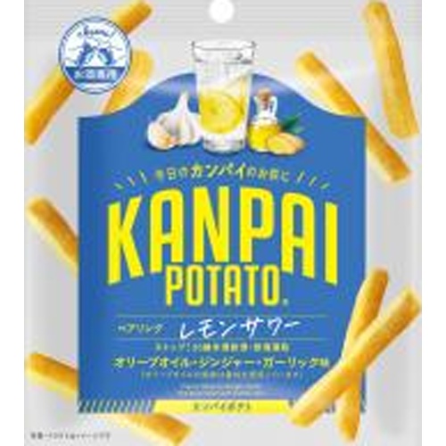 KANPAI ポテト小袋 レモンサワー専用30g