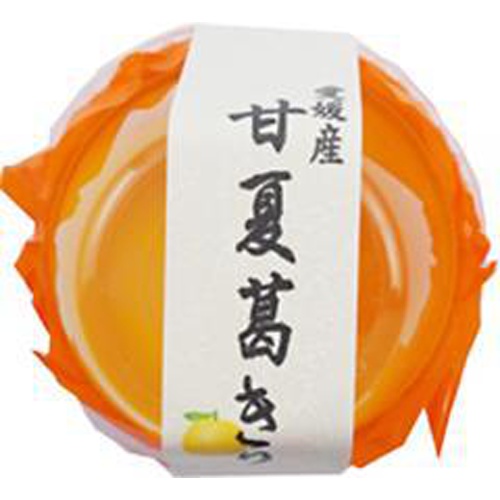 秦 愛媛産甘夏葛切り 1個