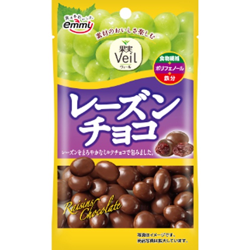 正栄 レーズンチョコ 42g