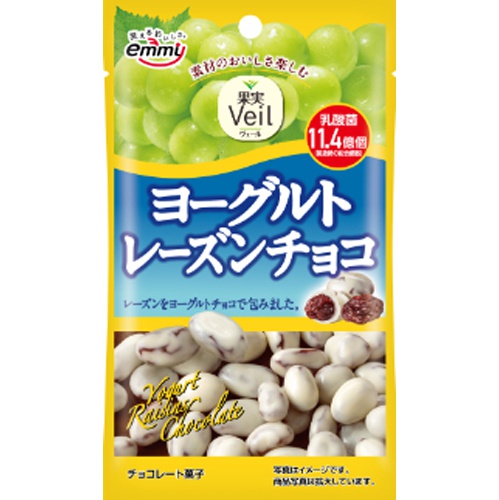 正栄 果実Veil ヨーグルトレーズンチョコ38g