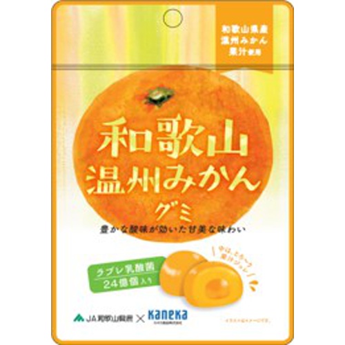カネカ 和歌山温州みかんグミ 乳酸菌入り40g【03/12 新商品】