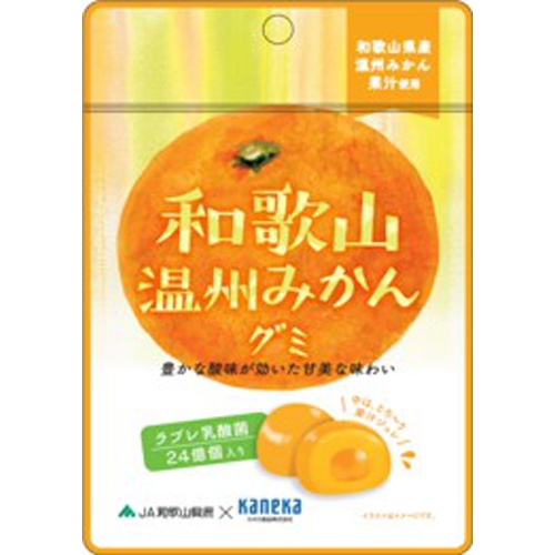 カネカ 和歌山温州みかんグミ 乳酸菌入り40g