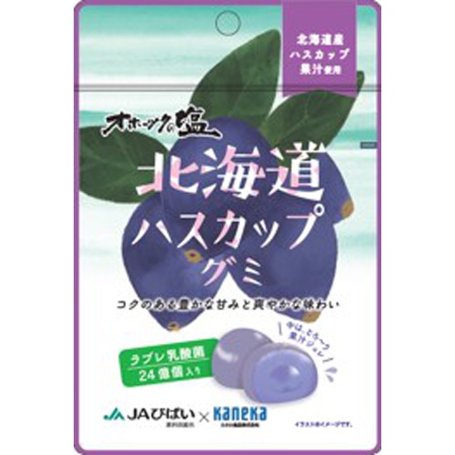 カネカ 北海道ハスカップグミ ラブレ乳酸菌入40g