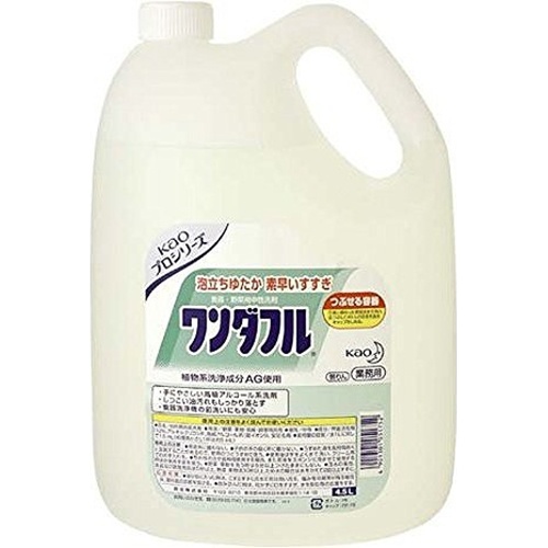 花王 ワンダフル 4.5L(業)