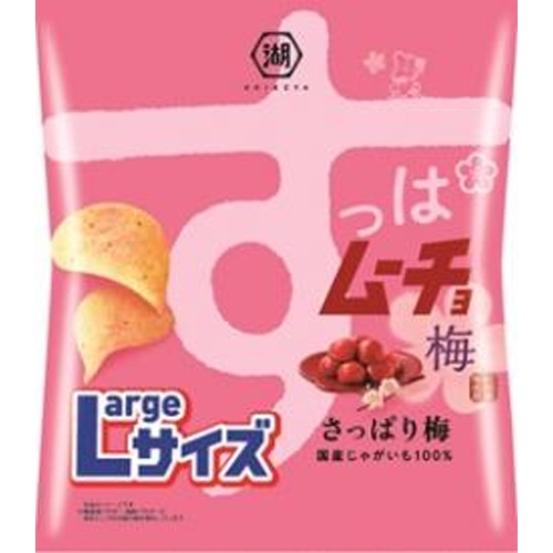 湖池屋 Lサイズすっぱムーチョ さっぱり梅108g【07/21 新商品】