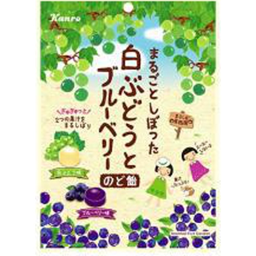 カンロ まるごとしぼった白ぶどうとBベリーのど飴【02/14 新商品】