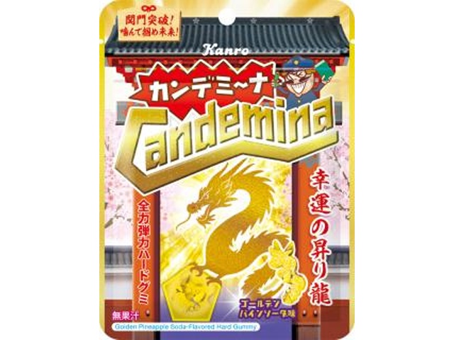 カンロ カンデミーナグミ 幸運の昇り龍60g【01/12 新商品】