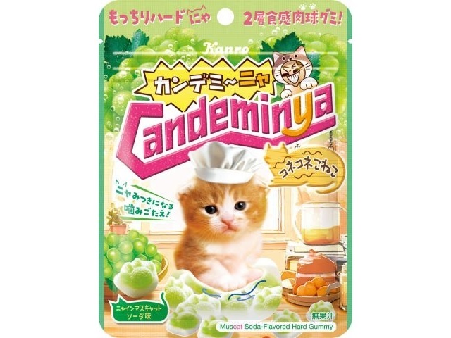 カンロ カンデミーニャグミ コネコネこねこ60g【02/09 新商品】