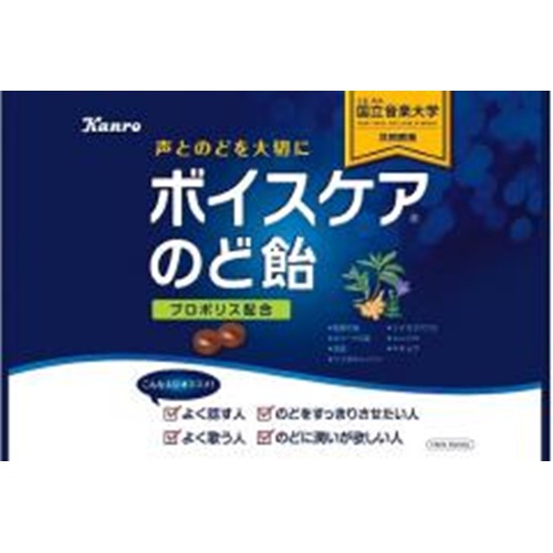 株式会社タジマヤ カンロ ボイスケアのど飴 585g 株式会社タジマヤ カンロ ボイスケアのど飴 585g