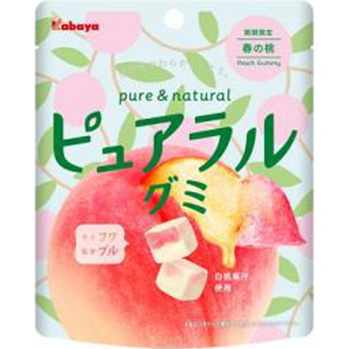 カバヤ ピュアラルグミ ぶどう58g | 商品紹介 | お菓子・駄菓子の