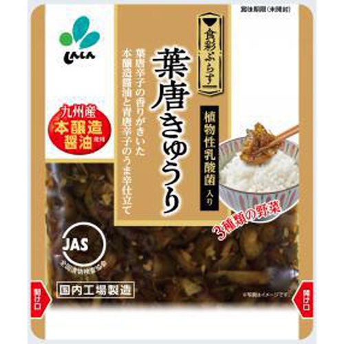 新進 食彩ぷらす 葉唐きゅうり 90g