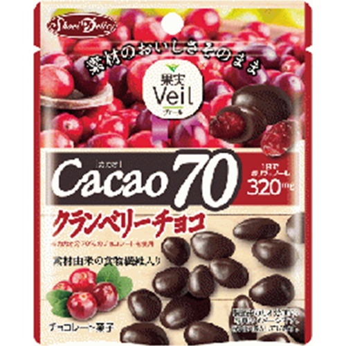 正栄 果実Veil カカオ70クランベリーチョコ