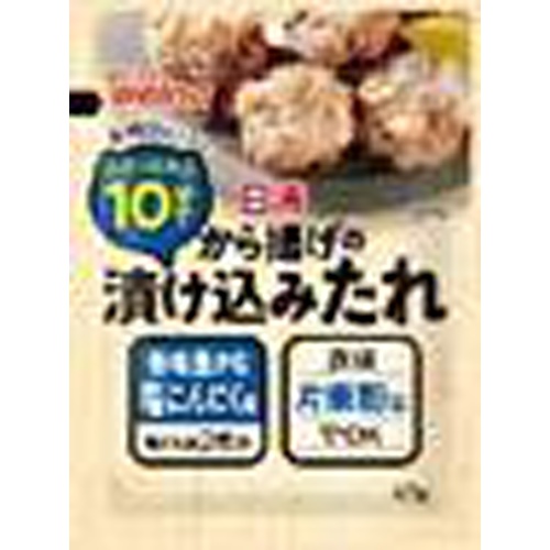 日清から揚げの漬け込みたれ 塩にんにく味40g