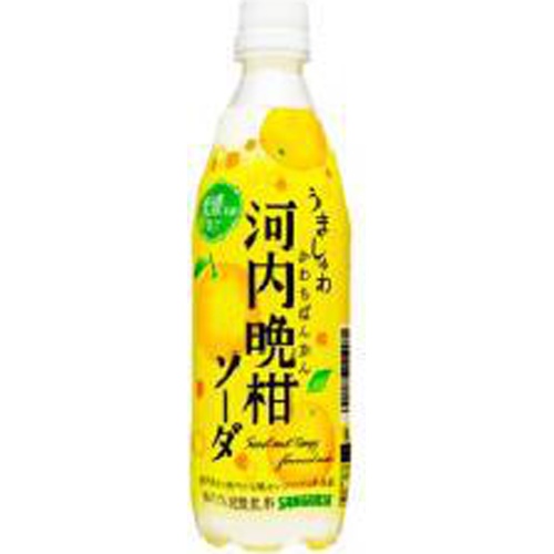 サンガリア うましゅわ河内晩柑ソーダ P500ml【06/19 新商品】
