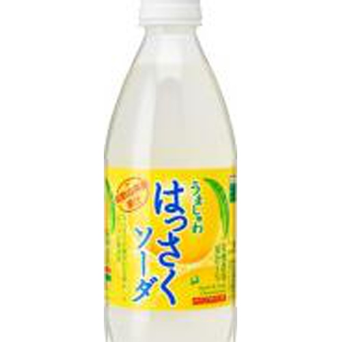 サンガリア うましゅわはっさくソーダ P500ml