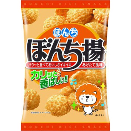 ぼんち ぼんち揚 65g