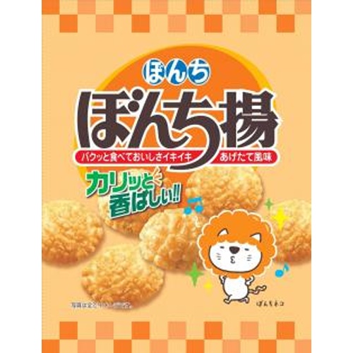 ぼんち ぼんち揚 60g【06/02 新商品】
