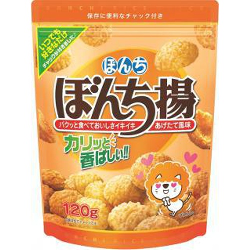 ぼんち ぼんち揚チャック付 100g