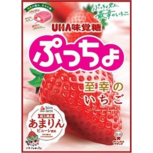 いちご様へ 味覚糖 ぷっちょ袋至幸のいちご 67g (4902750970540) の仕入れ