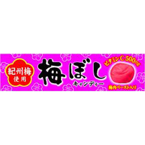 ライオン 梅ぼしキャンディー 10粒