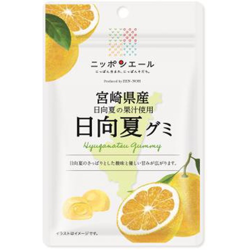 全国農協食品 宮崎県産産日向夏グミ 40g