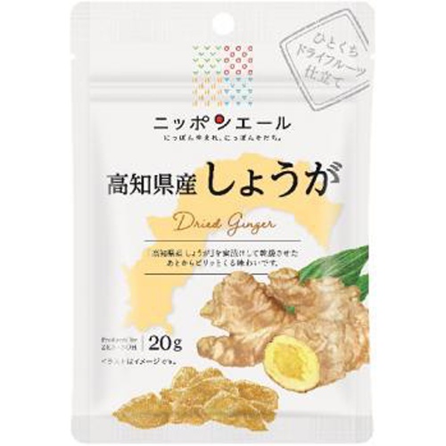 全国農協食品 高知県産しょうがドライフルーツ20g