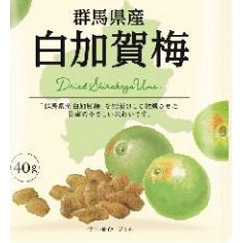 全国農協食品 群馬県産白加賀梅ドライフルーツ40g