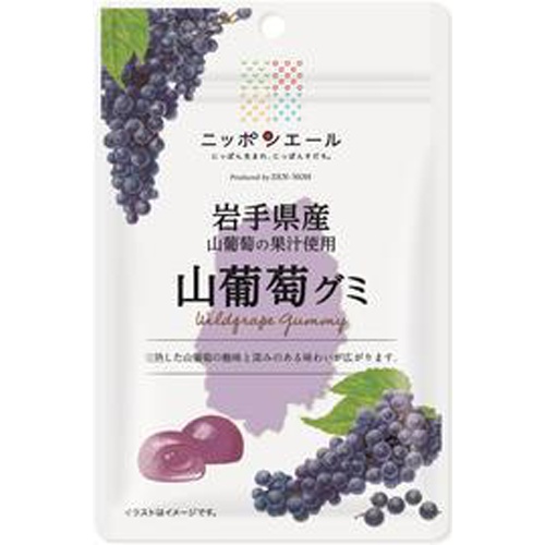 全国農協食品 岩手県産山葡萄グミ40g