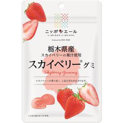 全国農協食品 栃木県産スカイベリーグミ40g