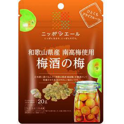 全国農協食品 和歌山梅酒の梅ドライフルーツ22g