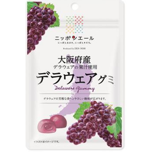 全国農協食品 大阪府産デラウェアグミ 40g