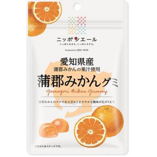 全国農協食品 愛知県産蒲郡みかんグミ 40g