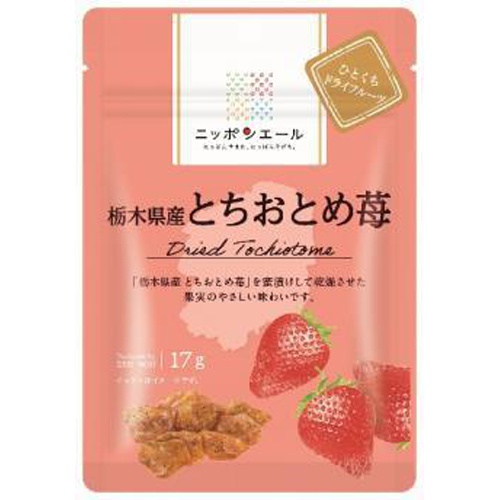 全国農協食品 栃木県産とちおとめ苺17g