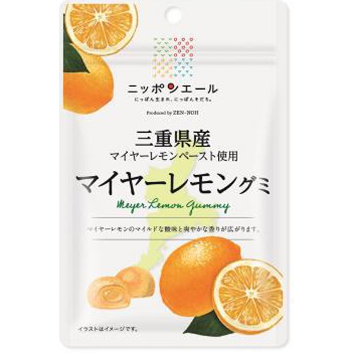 全国農協食品 三重県産マイヤーレモングミ 40g