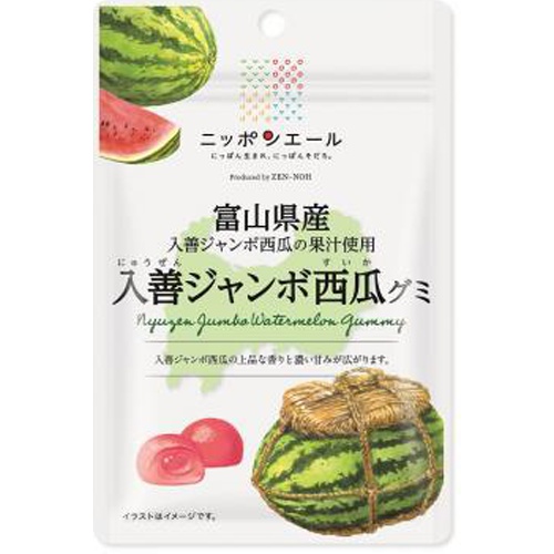 全国農協食品 富山県産入善ジャンボ西瓜グミ 40g