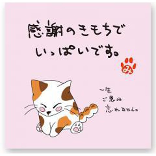 岩間園 煎用宇治煎茶 感謝の猫