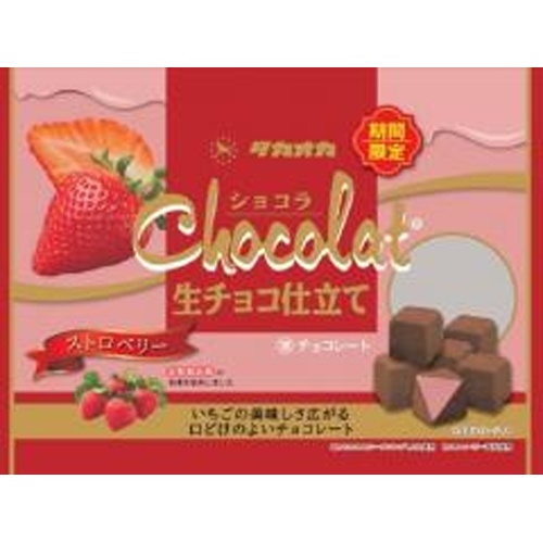 タカオカ ショコラ生チョコ仕立てストロベリ120g【09/01 新商品】