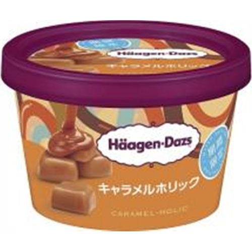 ハーゲンダッツ ミニカップ キャラメルホリック (4976994206116) の